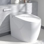 Our Hands-On Review: LEIVI Smart Toilet Experience