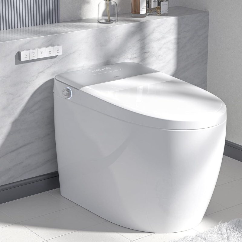 Our Hands-On Review: LEIVI Smart Toilet Experience